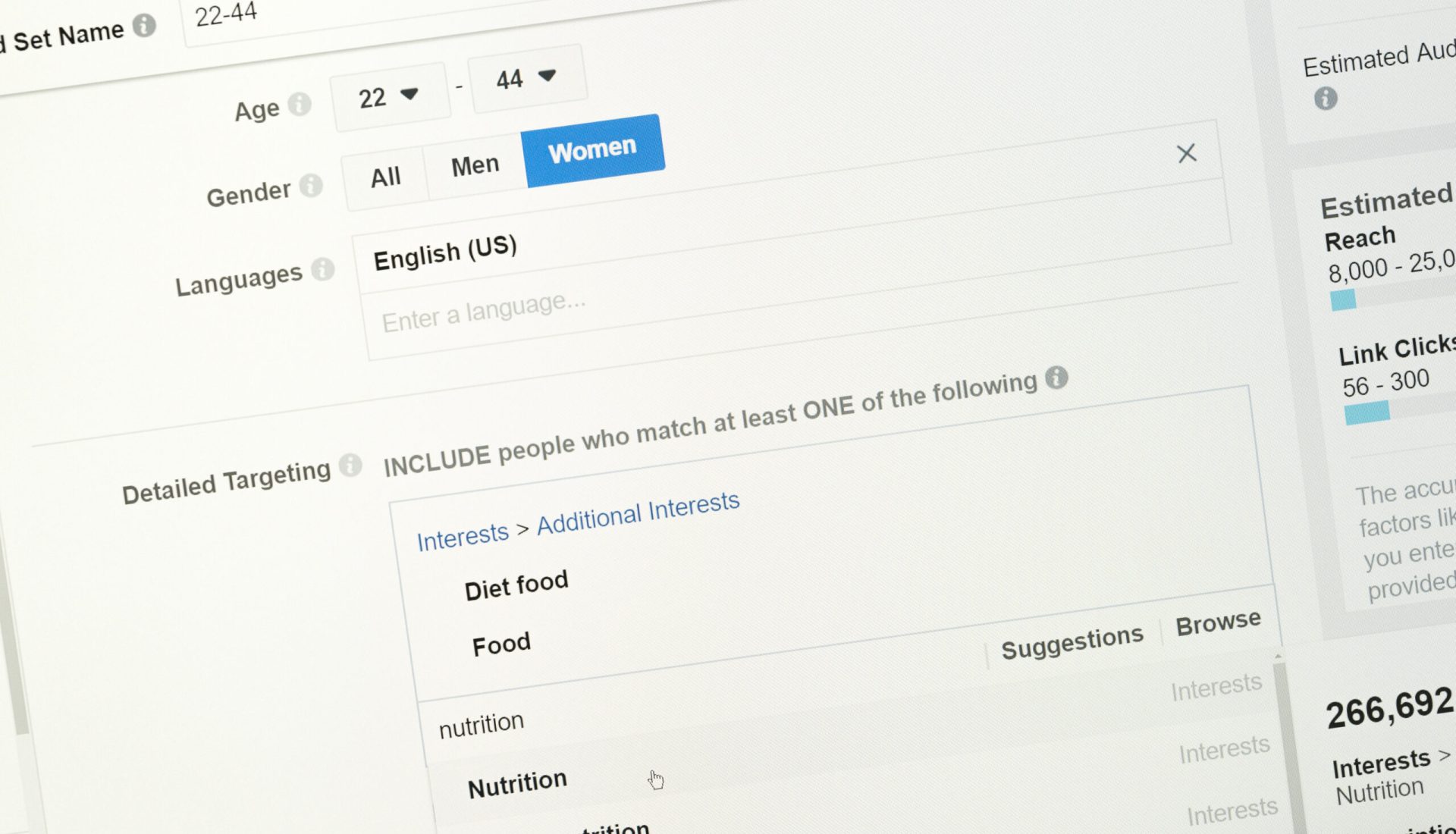 Detail of the audience targeting on form creating an advertising campaign on facebook #image_title